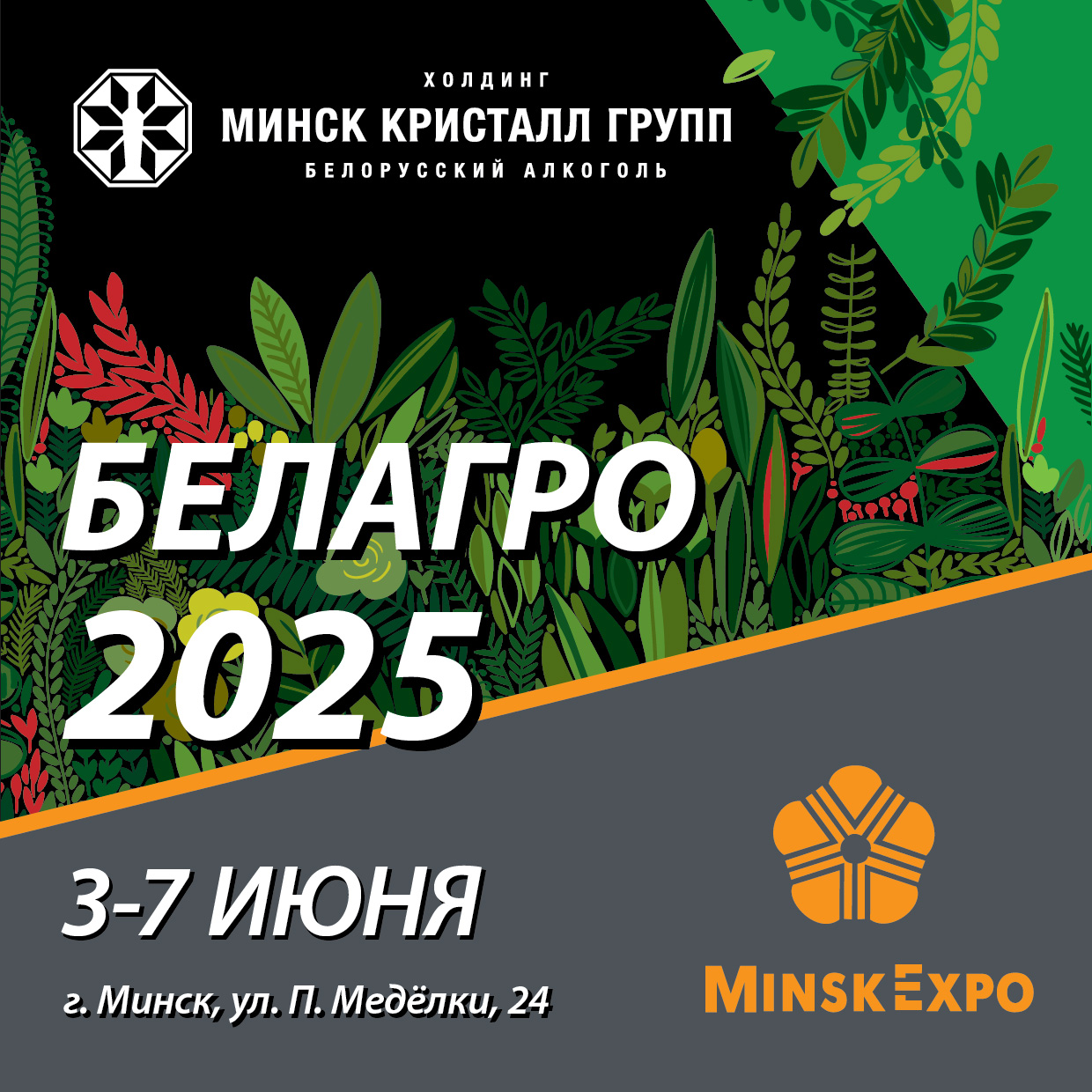 Холдинг «МИНСК КРИСТАЛЛ ГРУПП» на «Белагро-2025» | Наши последние новости