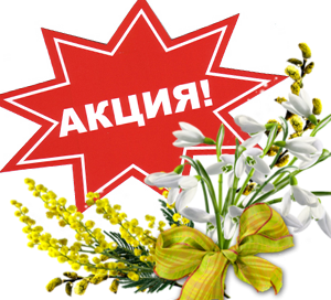 Акция! Снижены цены до конца апреля!