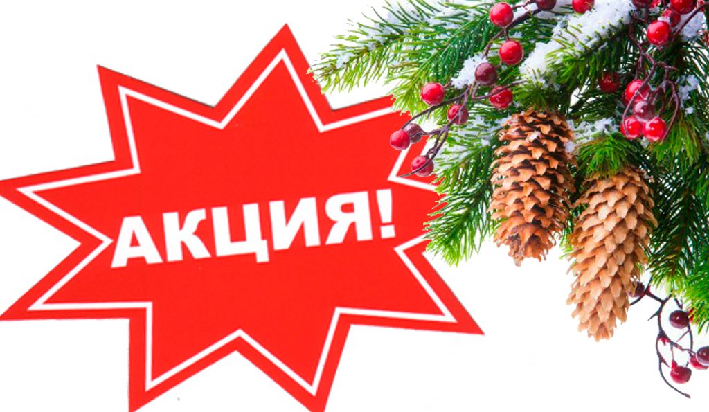 Акция! Снижены цены до конца декабря!