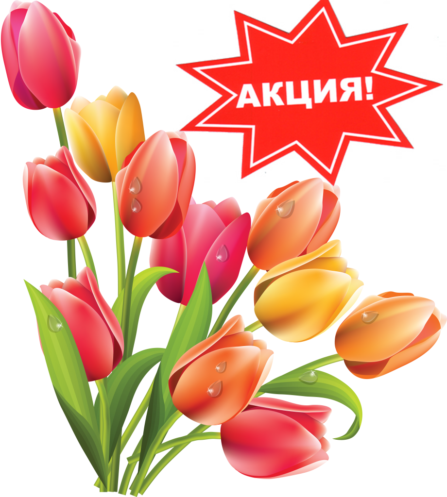 Акция! Снижены цены до конца марта!