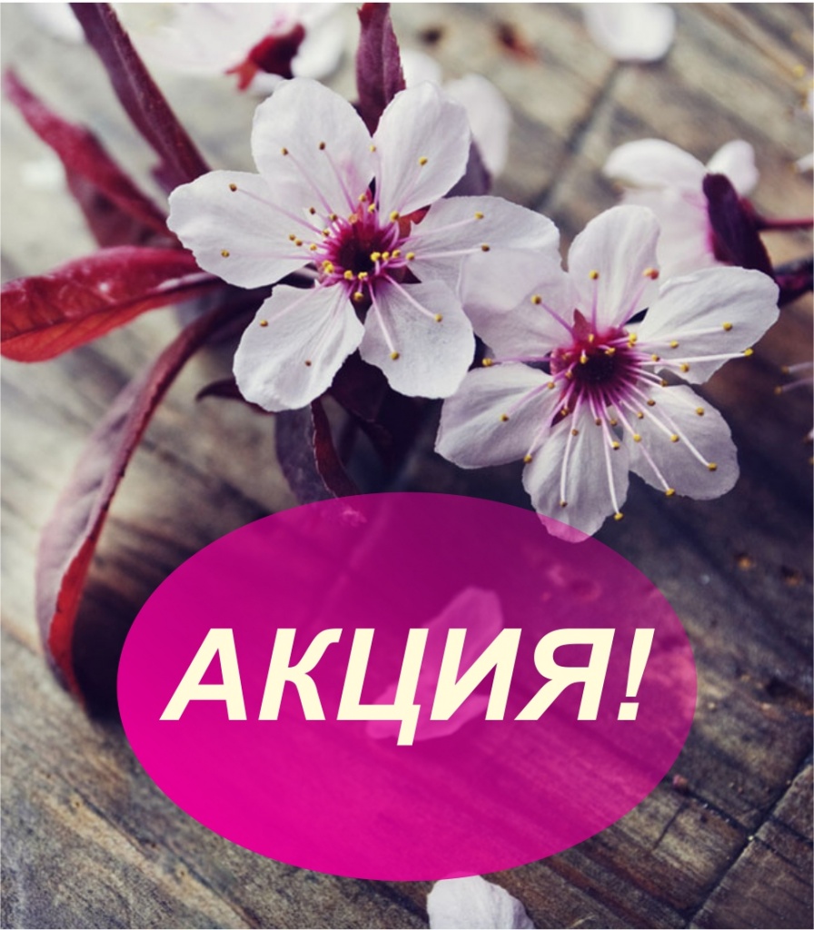 Акция! Снижены цены до конца мая